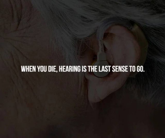 Creepy Facts (14 pics)