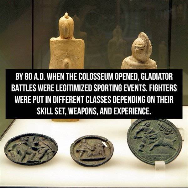 Facts About Gladiators (18 pics)