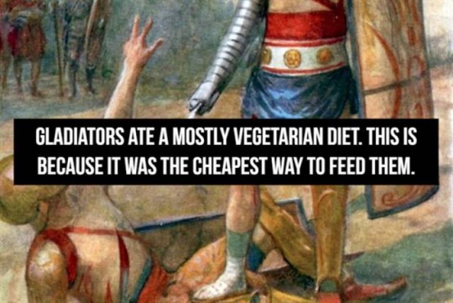 Facts About Gladiators (18 pics) Facts About Gladiators (18 pics)