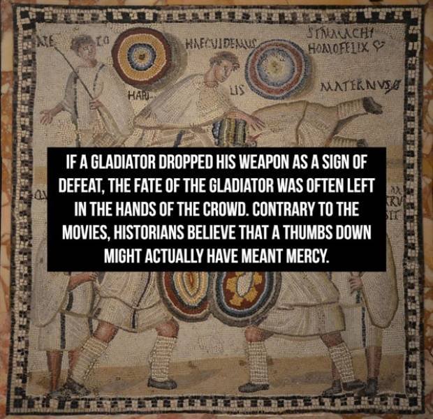Facts About Gladiators (18 pics) Facts About Gladiators (18 pics)