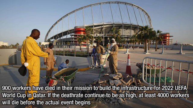Interesting Facts (43 pics)