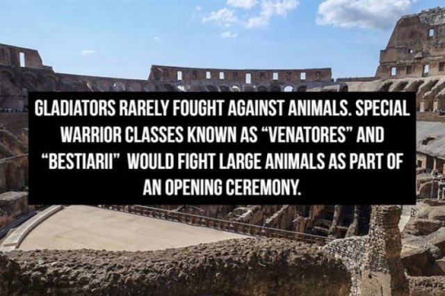 Facts About Gladiators (18 pics) Facts About Gladiators (18 pics)