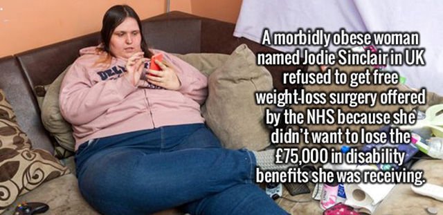 Interesting Facts (43 pics)