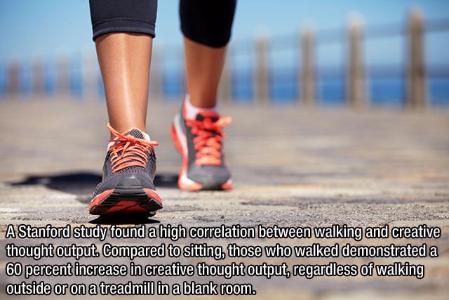 Interesting Facts (43 pics)