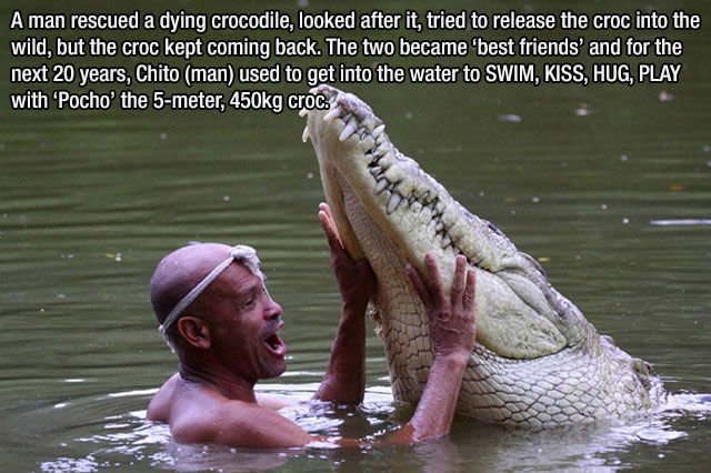 Interesting Facts (43 pics)
