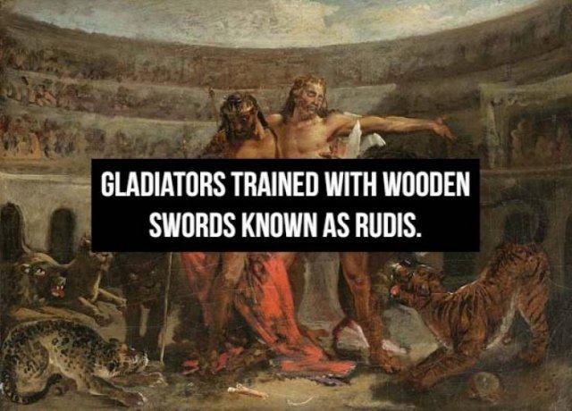 Facts About Gladiators (18 pics) Facts About Gladiators (18 pics)
