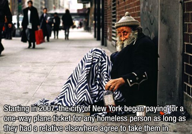 Interesting Facts (43 pics)
