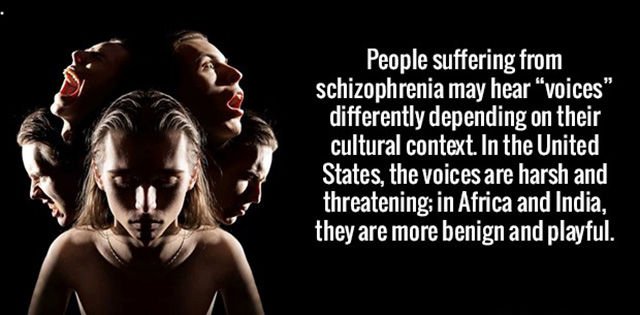 Interesting Facts (43 pics)