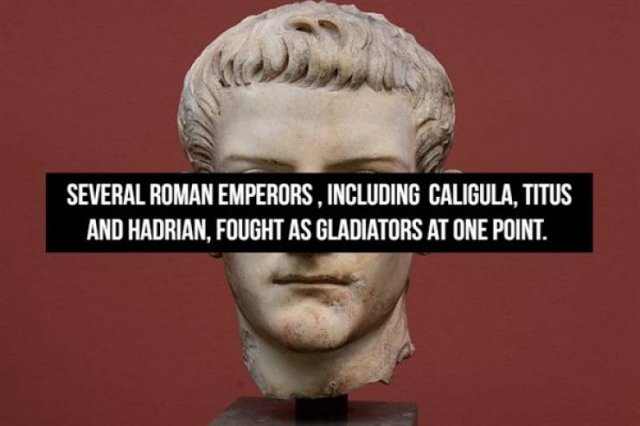 Facts About Gladiators (18 pics) Facts About Gladiators (18 pics)