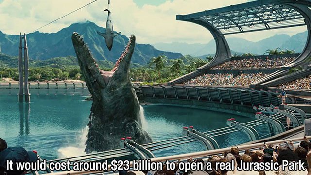 Interesting Facts (43 pics)