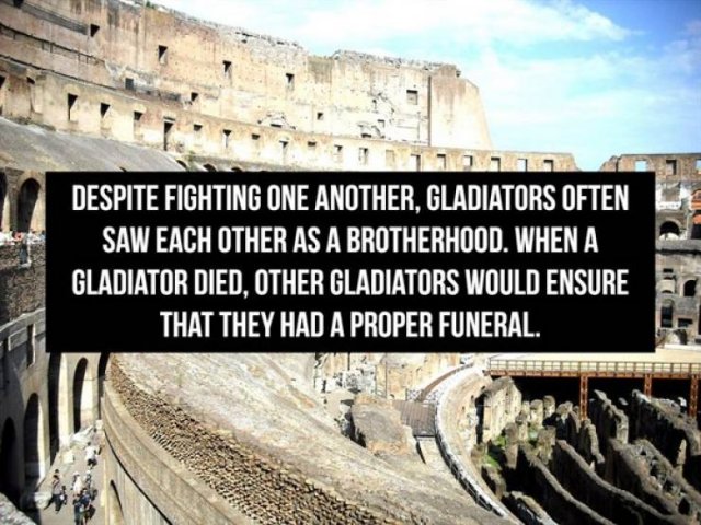 Facts About Gladiators (18 pics) Facts About Gladiators (18 pics)