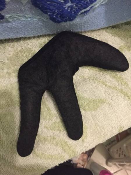 Interesting Finds (37 pics)