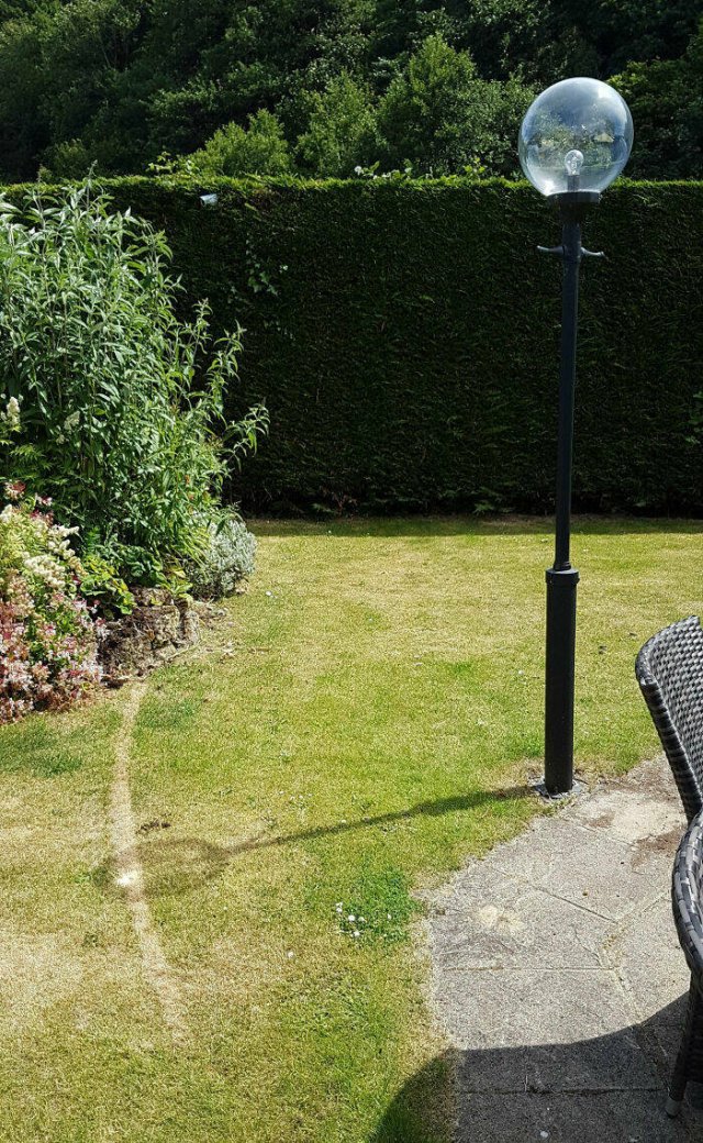 Failed Designs And Constructions (25 pics)