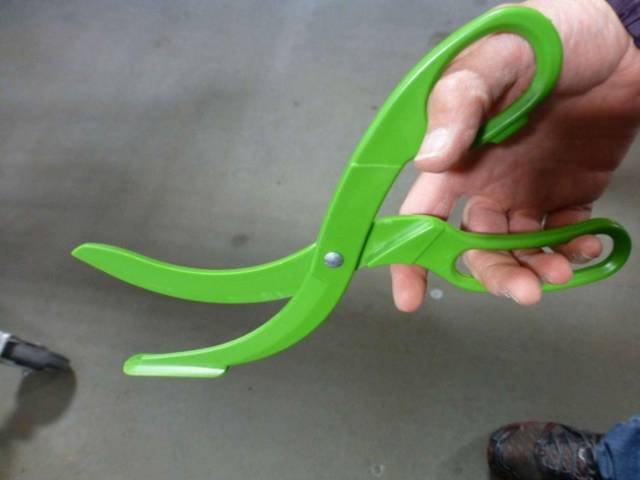 Interesting Finds (37 pics)
