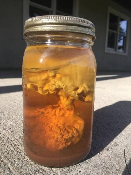 Interesting Finds (37 pics)