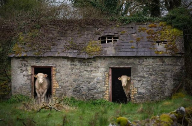Atmospheric Abandoned Places (20 pics)