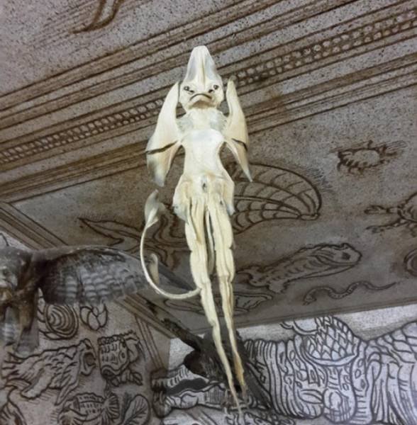 Interesting Finds (37 pics)