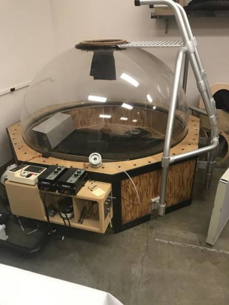 Interesting Finds (37 pics)