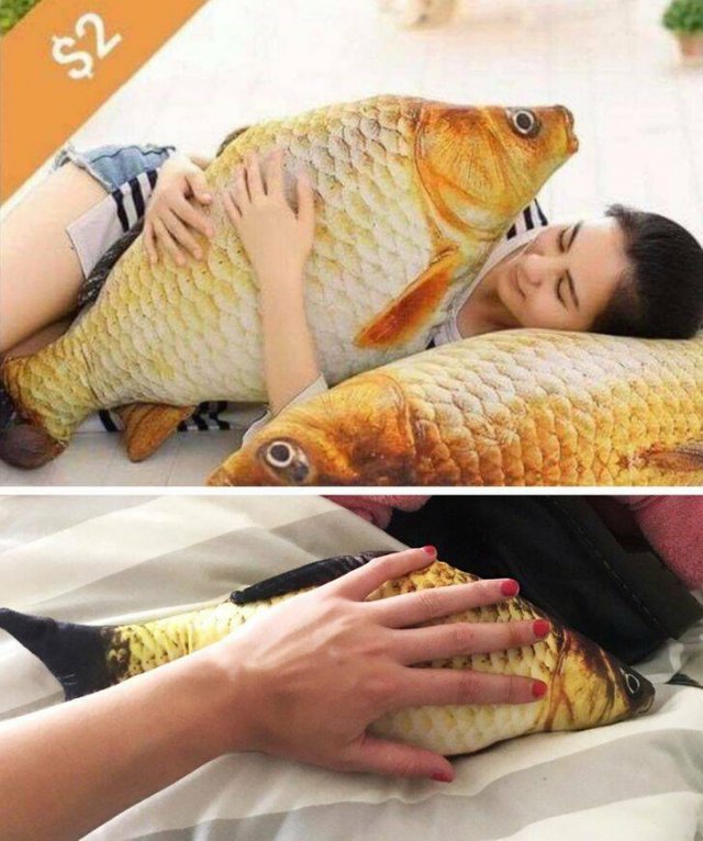 Unsuccessful Purchases (17 pics)