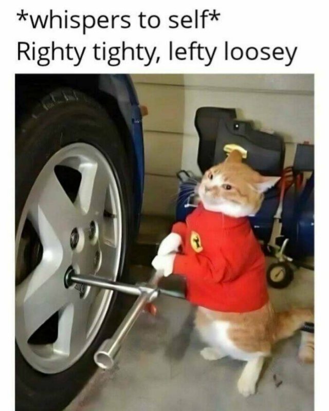 Memes With Cats (27 pics)
