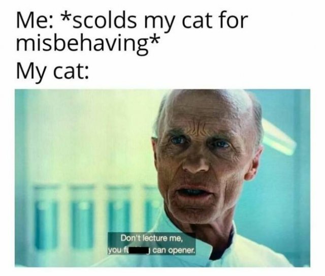Memes With Cats (27 pics)