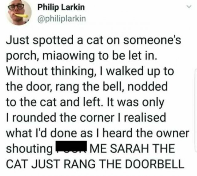 Memes With Cats (27 pics)