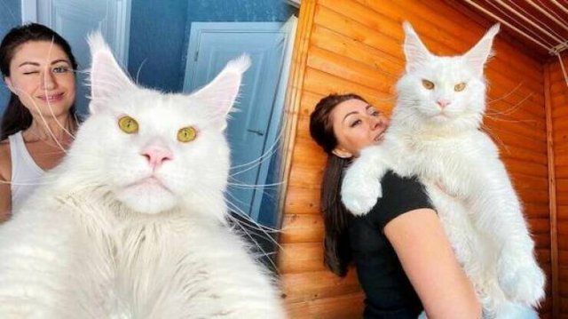 Giant Things (17 pics)