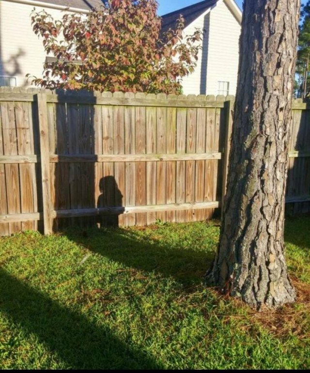 Bad Days Happen (39 pics)