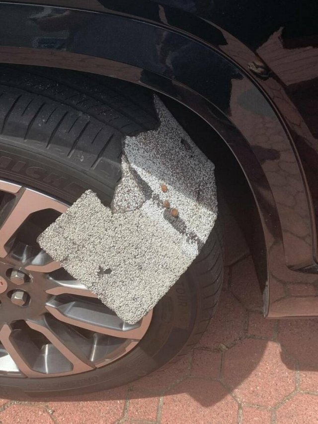 Bad Days Happen (39 pics)