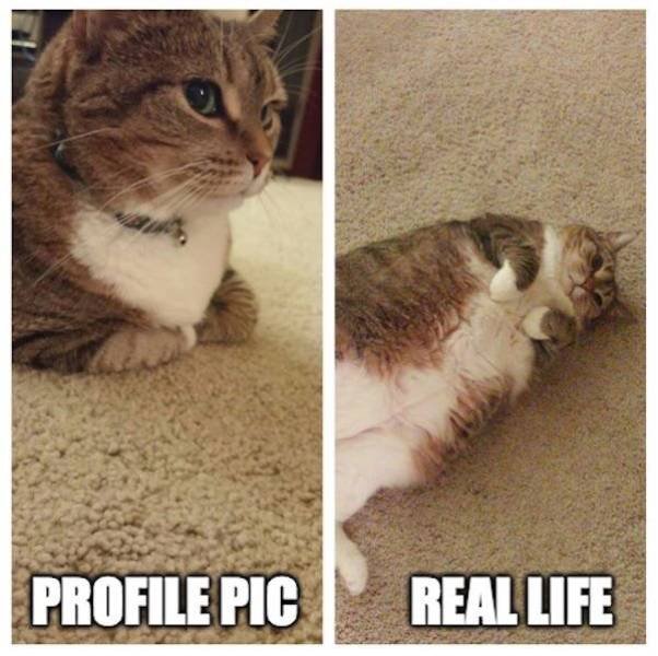 Expectations Against Reality (48 pics)