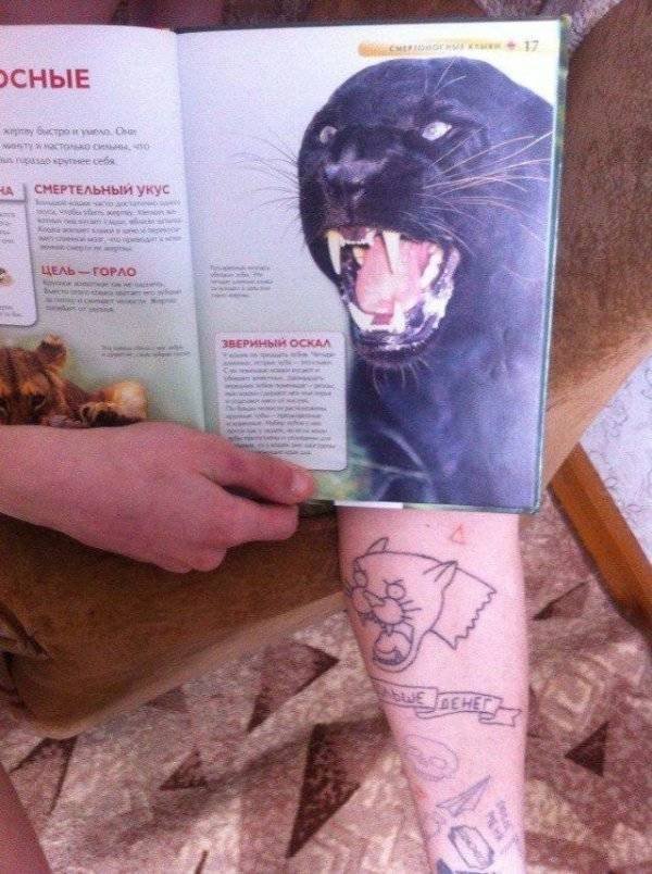 Expectations Against Reality (48 pics)