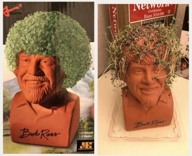 Expectations Against Reality (48 pics)