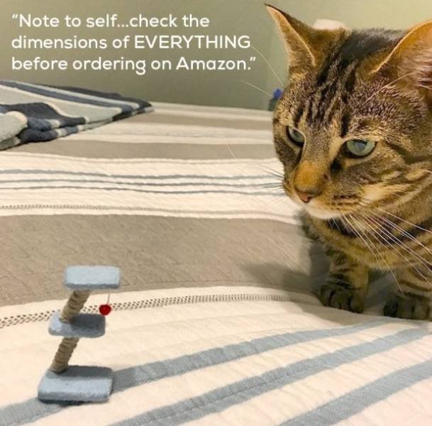 Expectations Against Reality (48 pics)