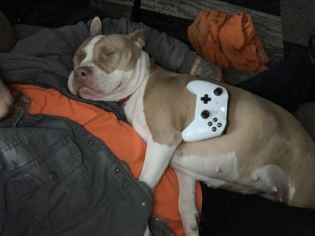 Memes And Pictures For Gamers (36 pics)