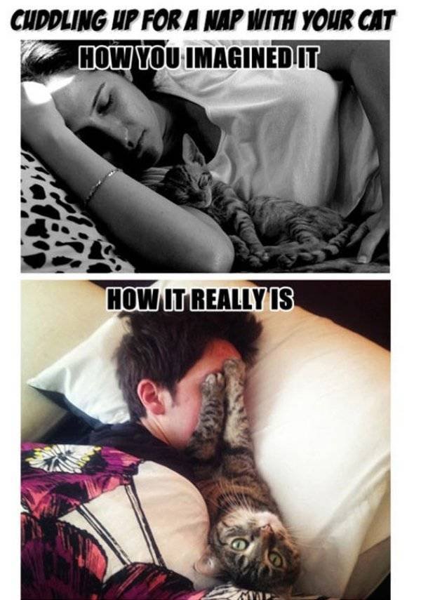 Expectations Against Reality (48 pics)