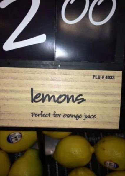 Epic Fails (65 pics)