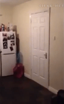 Epic Fails (65 pics)