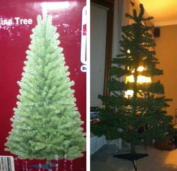 Epic Fails (65 pics)