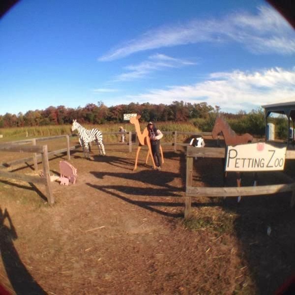 Epic Fails (65 pics)
