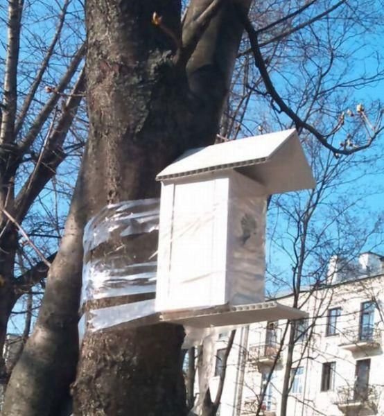 Epic Fails (65 pics)
