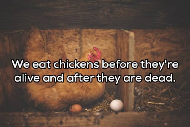 Weird Thoughts (18 pics)