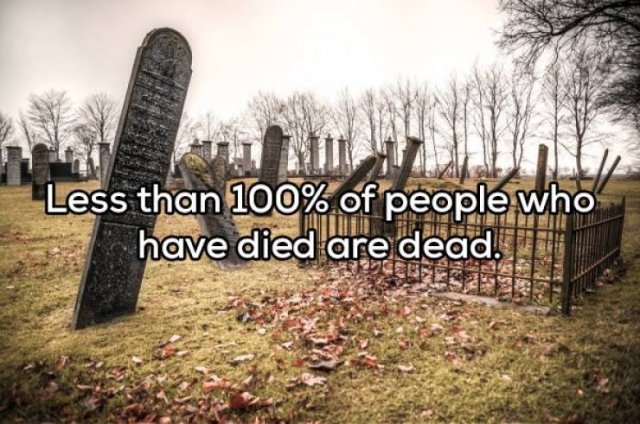 Weird Thoughts (18 pics)