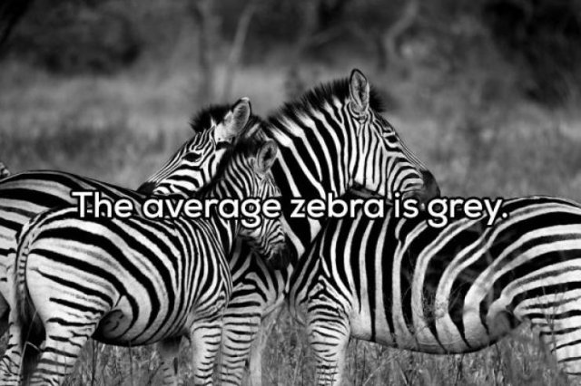 Weird Thoughts (18 pics)