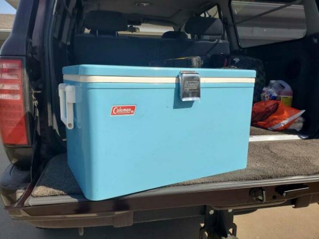 Immortal Things From The Past (44 pics)
