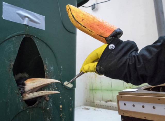 Interesting Finds And Discoveries (18 pics)