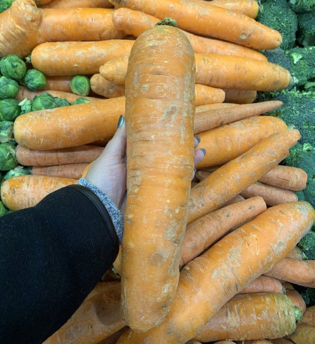 Interesting Finds And Discoveries (18 pics)