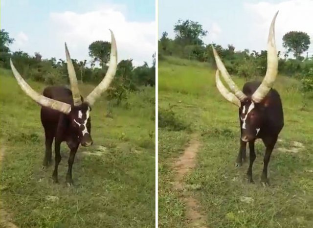 Interesting Finds And Discoveries (18 pics)