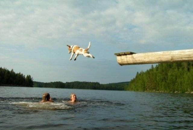 Life Is Beautiful (49 pics)