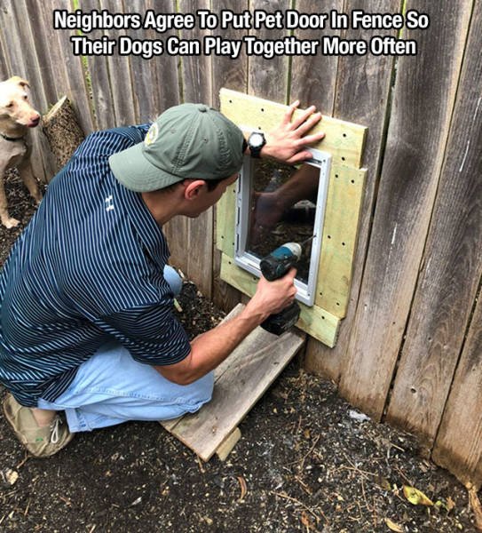 Life Is Beautiful (49 pics)