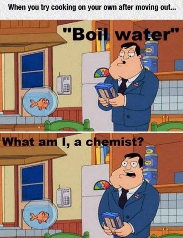 Culinary Memes (29 pics)